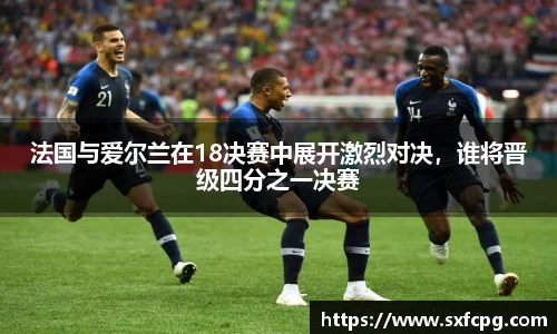 法国与爱尔兰在18决赛中展开激烈对决，谁将晋级四分之一决赛